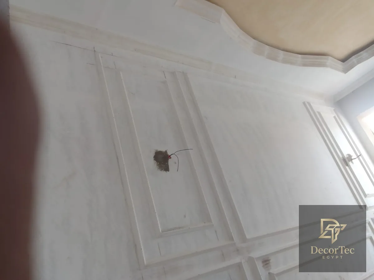 إطارات بانوهات مودرن أنيقة - DecorTec Egypt